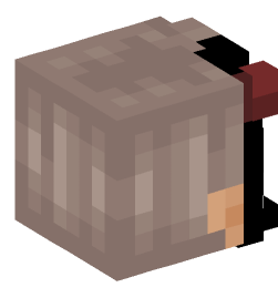 Minecraft head — People