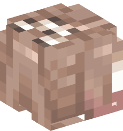 Minecraft head — People