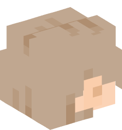 Minecraft head — People