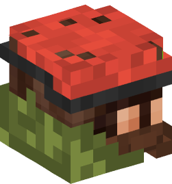 Minecraft head — People