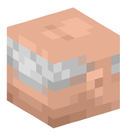 Minecraft head — People