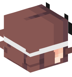 Minecraft head — People