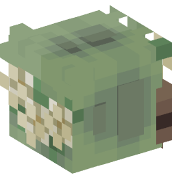 Minecraft head — People