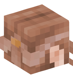 Minecraft head — People