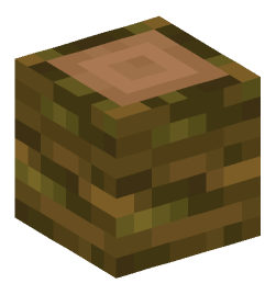 Minecraft head — Blocks