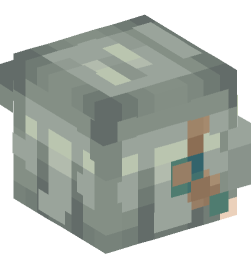 Minecraft head — People