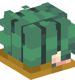 Minecraft head — People