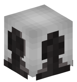 Minecraft head — Decor