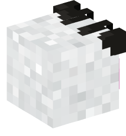 Minecraft head — Decor