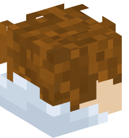 Minecraft head — People