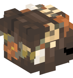 Minecraft head — People