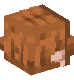 Minecraft head — Creatures