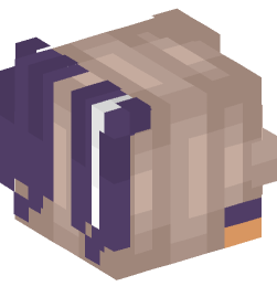 Minecraft head — People