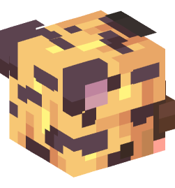 Minecraft head — People