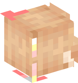 Minecraft head — People