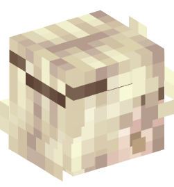 Minecraft head — People