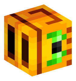 Minecraft head — Decor