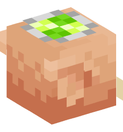 Minecraft head — Animals