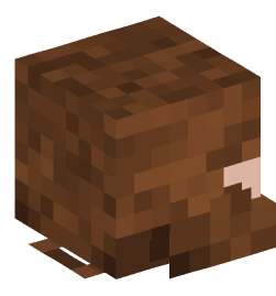 Minecraft head — People