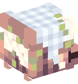 Minecraft head — People