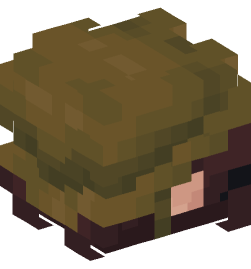 Minecraft head — People