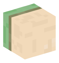 Minecraft head — Decor