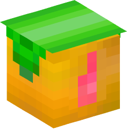 Minecraft head — Creatures