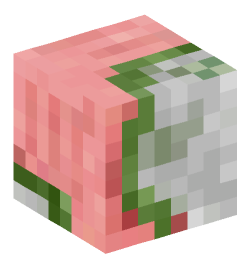 Minecraft head — Creatures