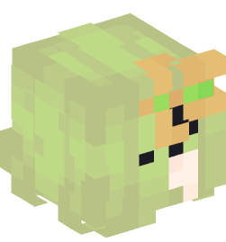 Minecraft head — People