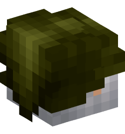 Minecraft head — People