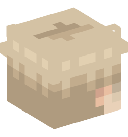 Minecraft head — People