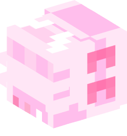 Minecraft head — Decor