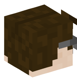 Minecraft head — People