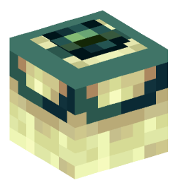 Minecraft head — Decor