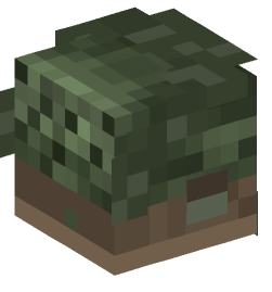 Minecraft head — Decor