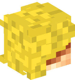 Minecraft head — People