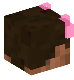 Minecraft head — People