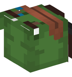 Minecraft head — People