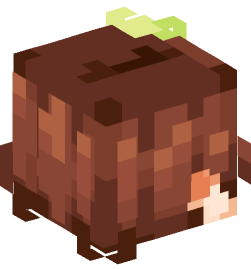 Minecraft head — People