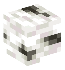 Minecraft head — Blocks