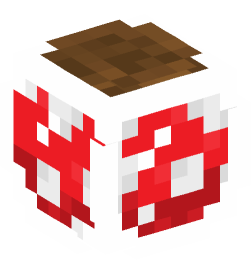 Minecraft head — Decor