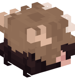 Minecraft head — People