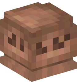 Minecraft head — Decor