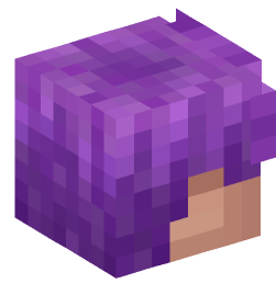 Minecraft head — People