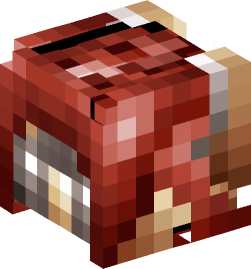 Minecraft head — People