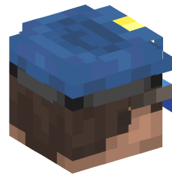 Minecraft head — People