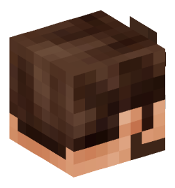 Minecraft head — People