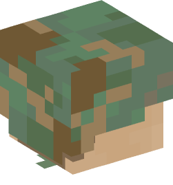 Minecraft head — People