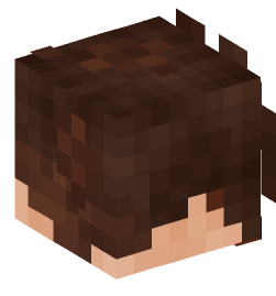 Minecraft head — People