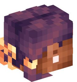 Minecraft head — People